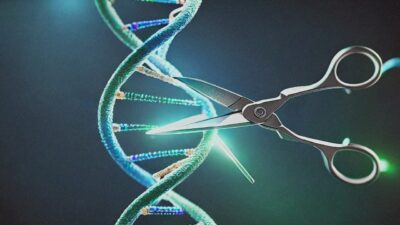 CRISPR Gene Editing: Medical Miracles and Ethical Debates